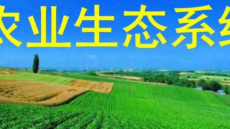 休闲农业采摘园选址：避开这五个认知陷阱，客流自然来