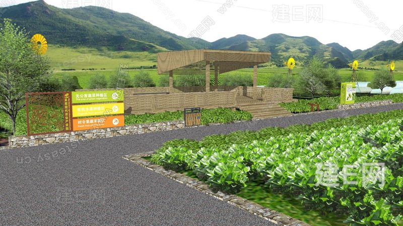 有机水果种植，从技术到实践：视频教程全解析