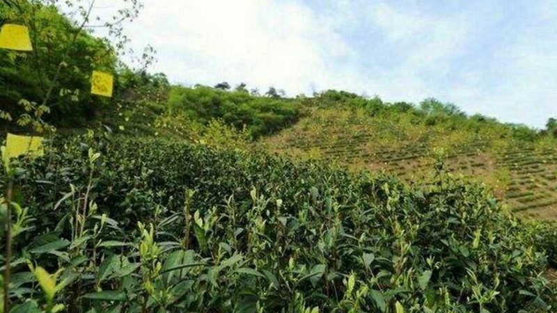 粮食播种机自动驾驶改装，这些步骤不能少**