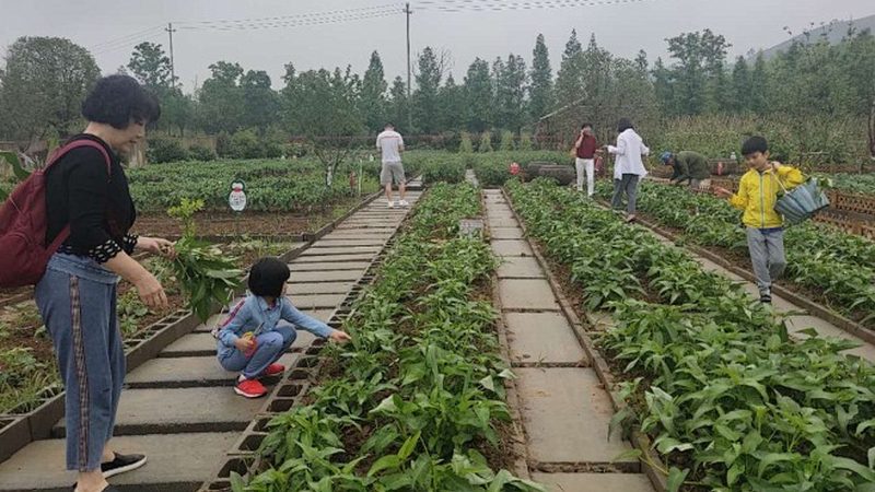 农业项目生产厂家安装服务：揭秘高效农业设施的关键环节