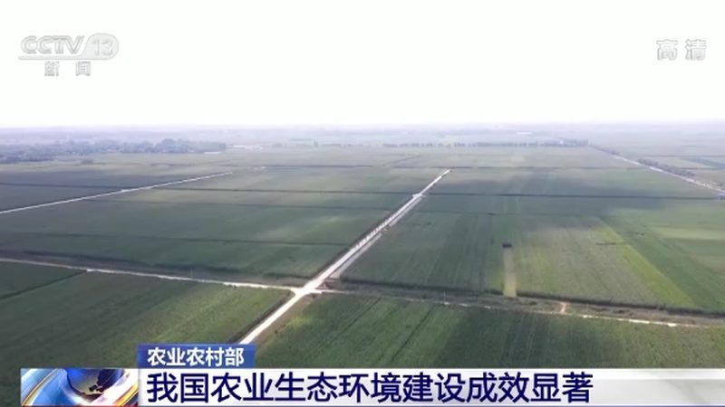 农业项目经济效益对比分析：如何科学评估与决策**