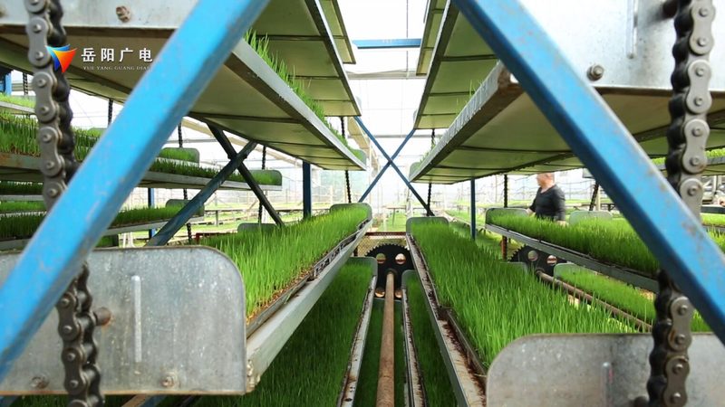生鲜配送中心建设标准规范：构建高效冷链保障