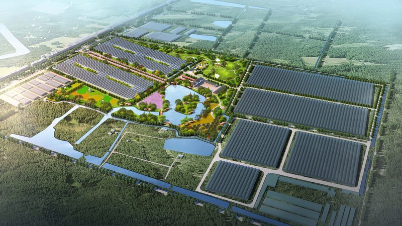水果种植合作社电商渠道年收入