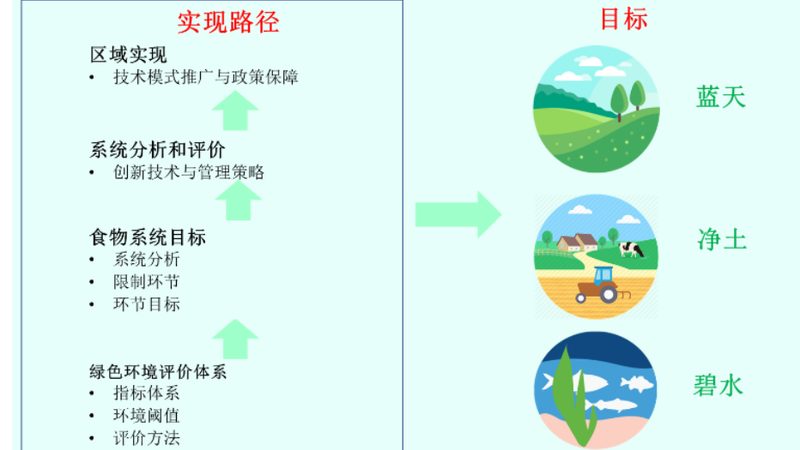 绿色食品认证补贴流程步骤全解析