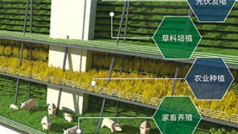 海南农业有限公司