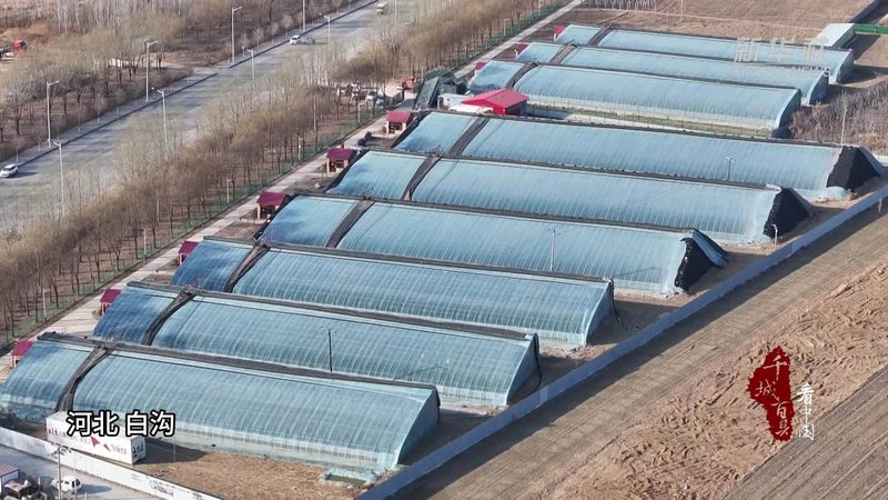 农产品批发市场分拣配送流程优化：揭秘高效供应链背后的秘密
