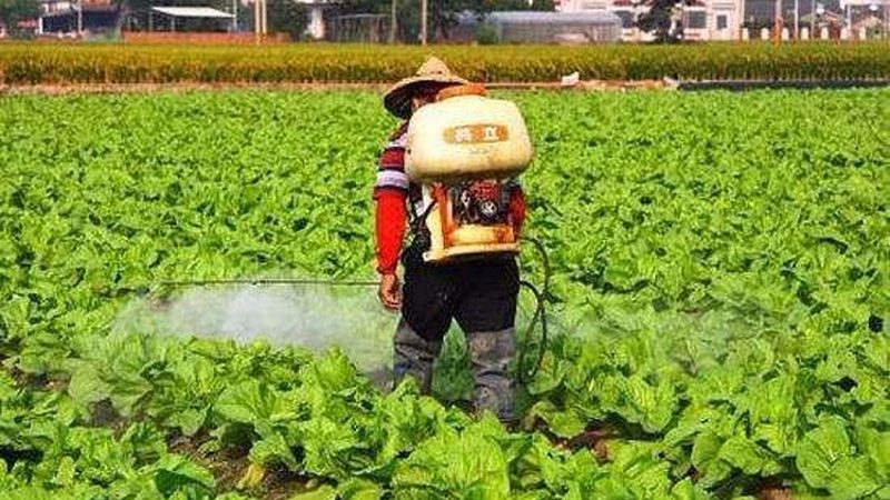 农业种植培训课程，如何选择最适合你的？**