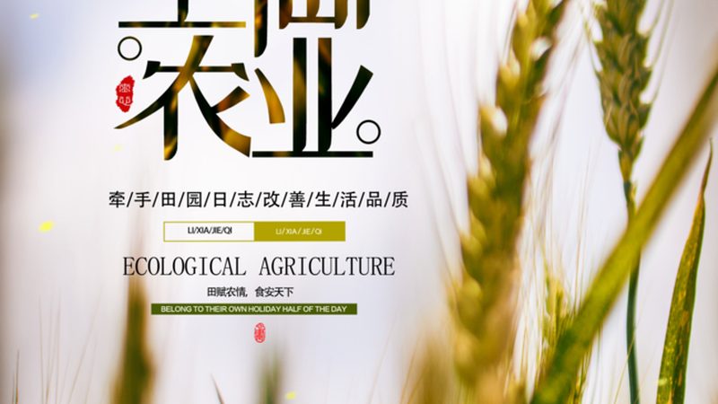 合作社注销债务处理方式：合规与实操指南